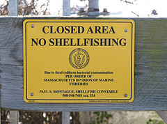 Closed Area No Shellfishing Sign (Woods Hole MA).jpg