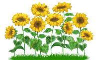 Sunflowers.gif