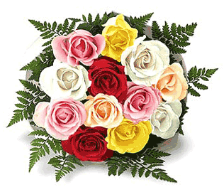 Mixed roses.jpg