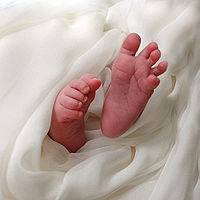 Baby feet.jpg