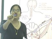 Microteach Nalini Nand unnerving the nerves.jpg