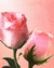 Rose Day Wishes 128x160.gif